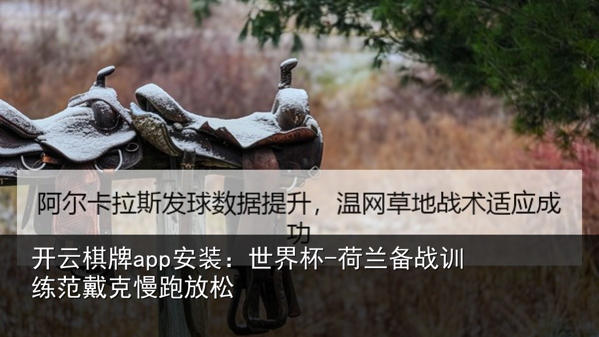 开云棋牌app安装：世界杯-荷兰备战训练范戴克慢跑放松