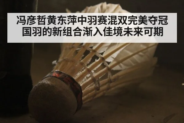 冯彦哲黄东萍中羽赛混双完美夺冠 国羽的新组合渐入佳境未来可期